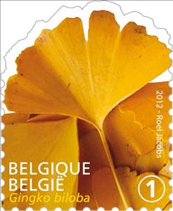Stamp, Tree Leaf: Ginkgo biloba, Belgium,  