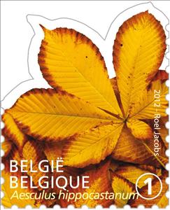 Stamp, Tree Leaf: Aesculus hippocastranum, Belgium,  