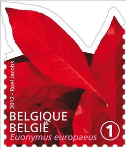 Stamp, Tree Leaf: Euonymus europaeus, Belgium,  