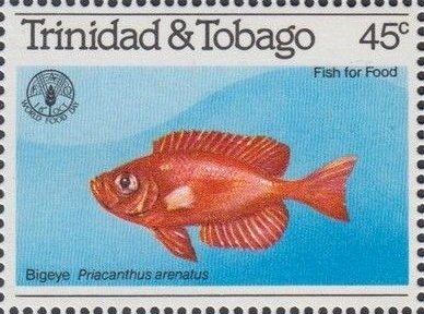 Atlantic Bigeye (Priacanthus arenatus)
