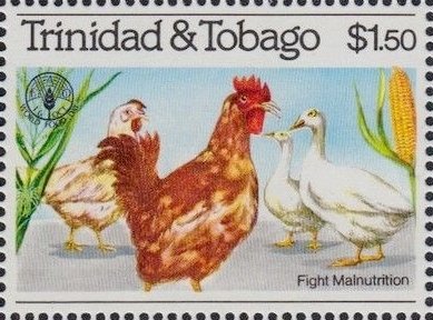 Poultry (Gallus gallus domesticus)