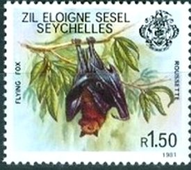 Pteropus seychellensis