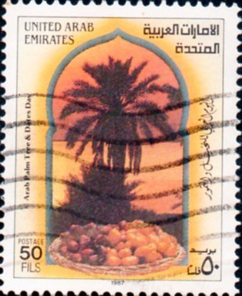 Arab Palm Tree and Data Day