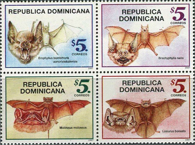 Bats