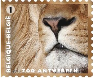 Stamp, Lion (Panthera leo), Belgium,  , Mammals, Лев, Zoos, Animals (Fauna)