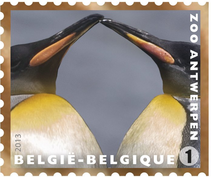 Emperor Penguin (Aptenodytes forsteri)