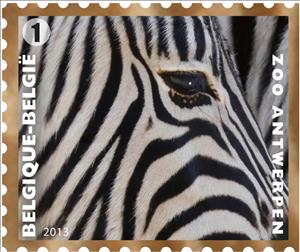 Stamp, Grevy's Zebra (Equus grevyi), Belgium,  , Mammals, Zoos, Zebras, Animals (Fauna)
