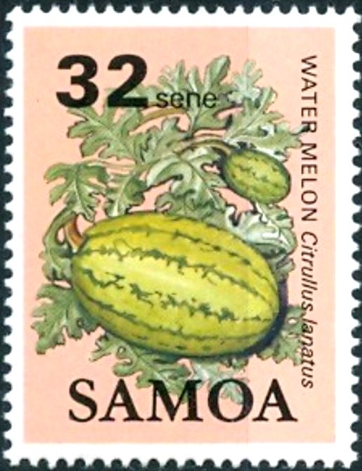 Water Melon (Citrulus lanatus)