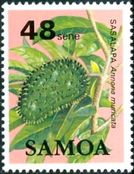 Sasalapa (Annona muricata)