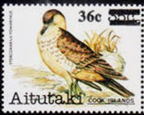 Stamp, Pomarine Skua (Stercorarius pomarinus), Aitutaki,  , Animals (Fauna), Birds, Gulls