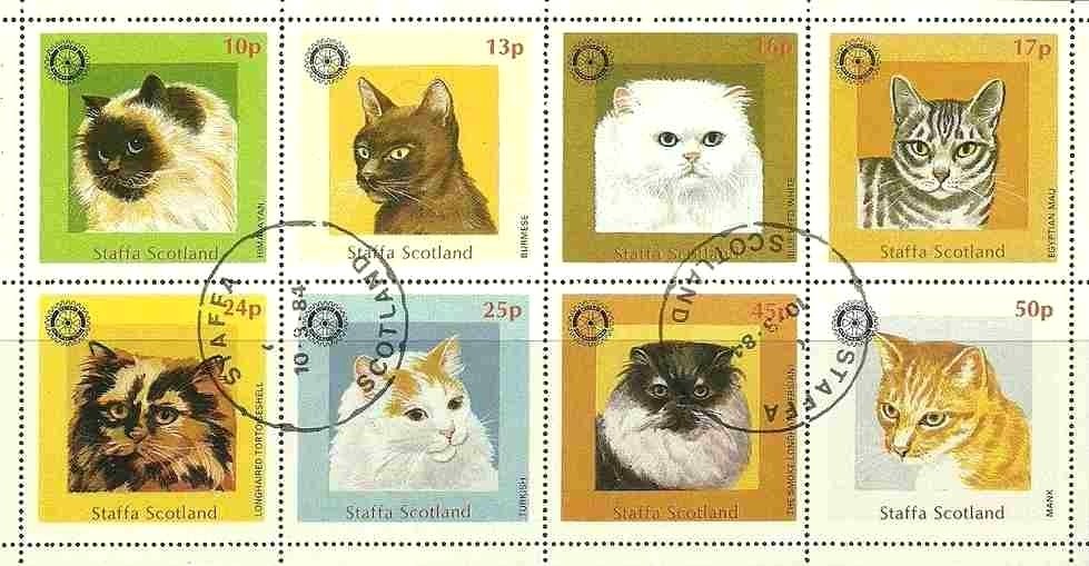 Cats
