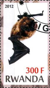 Stamp, Bats, Cinderellas,  , Bats