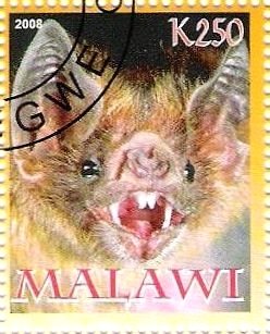 Stamp, Bat, Cinderellas,  , Bats
