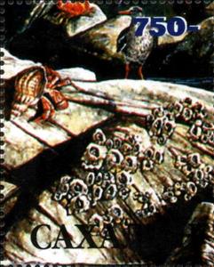Stamp, Fauna Marine, Cinderellas,  