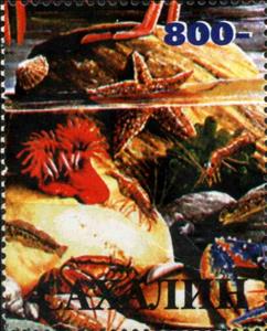 Stamp, Fauna Marine, Cinderellas,  