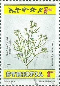 Stamp, Cuminum cyminum, Ethiopia,  , Herbs and Spices, Plants (Flora)