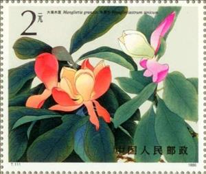 Stamp, Manglieta grandis & Manglietiastrum sinicum, China, People's Republic,  , Flowers, Plants (Flora)