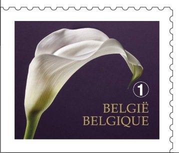 Mourning Stamp - Left + Bottom imperf