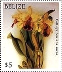Stamp, Cattleya dowiana var. aurea, Belize,  , Orchids