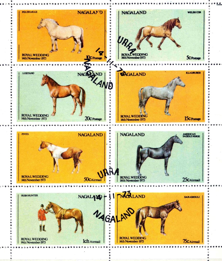 Horses