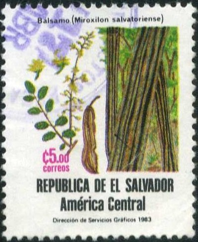 Balsam - Miroxilon salvatoriense