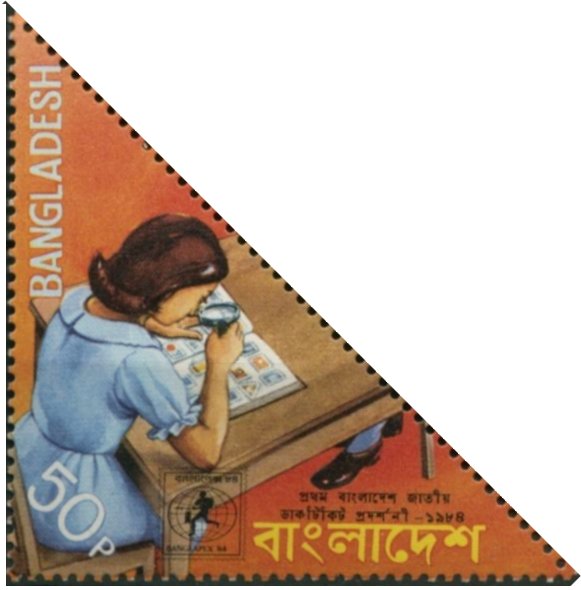 Girl Examining