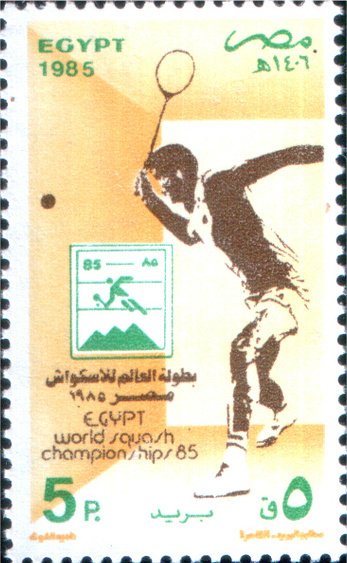 1985 World Squash Championships