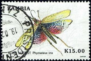 Stamp, Grashopper (Phymateus iris), Zambia,  , Insects
