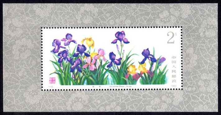 Iris