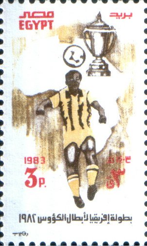Victory in African Soccer Cup
