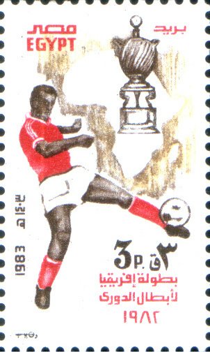 Victory in African Soccer Cup