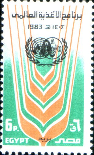 FAO, UN, grain