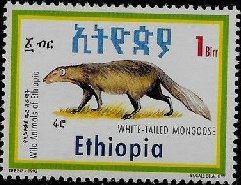 Stamp, White-tailed mongoose, Ethiopia,  , Animals (Fauna)