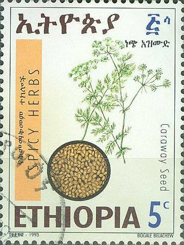 Caraway seed