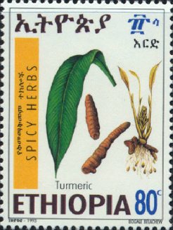 Turmeric