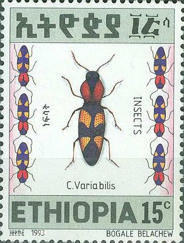 C. Variabilis
