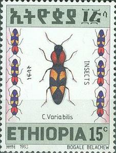 Stamp, C. Variabilis, Ethiopia,  , Animals (Fauna), Insects