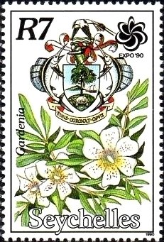 Gardenia sp.