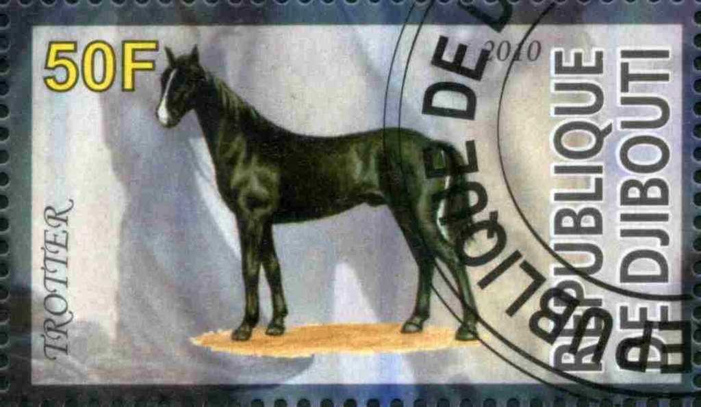 Trotter