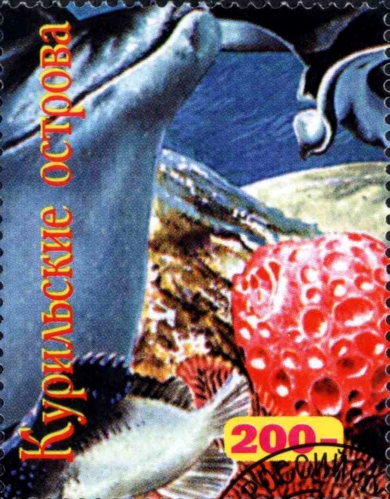 Fauna Marine