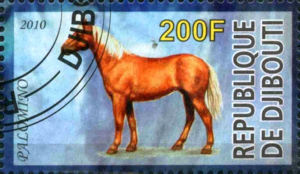Palomino