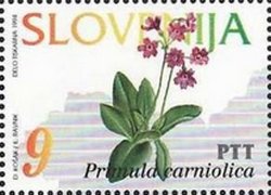 Flowers of Slovenia