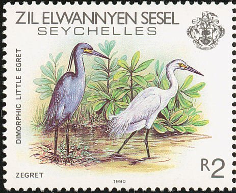Aigrette