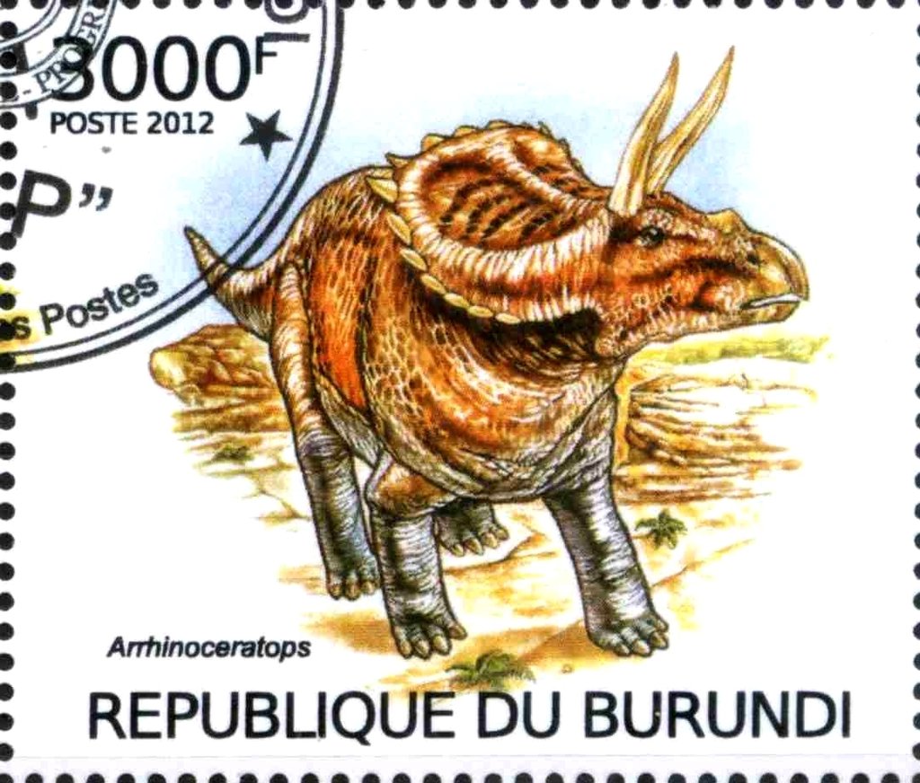Arrhinoceratops