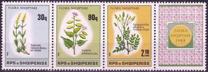 Plants