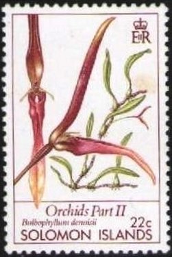 Stamp, Bulbophyllum dennisii, Solomon Islands,  , Orchids