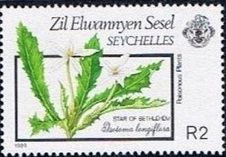 Stamp, Isotoma longiflora, Seychelles,  , Plants (Flora)