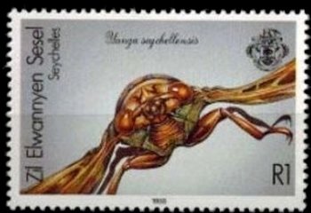 Yanga seychellensis