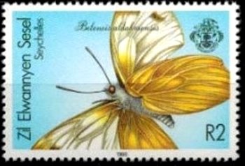 Belenois aldabraensis