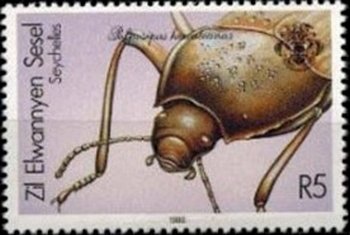 Polposipus herculeanus